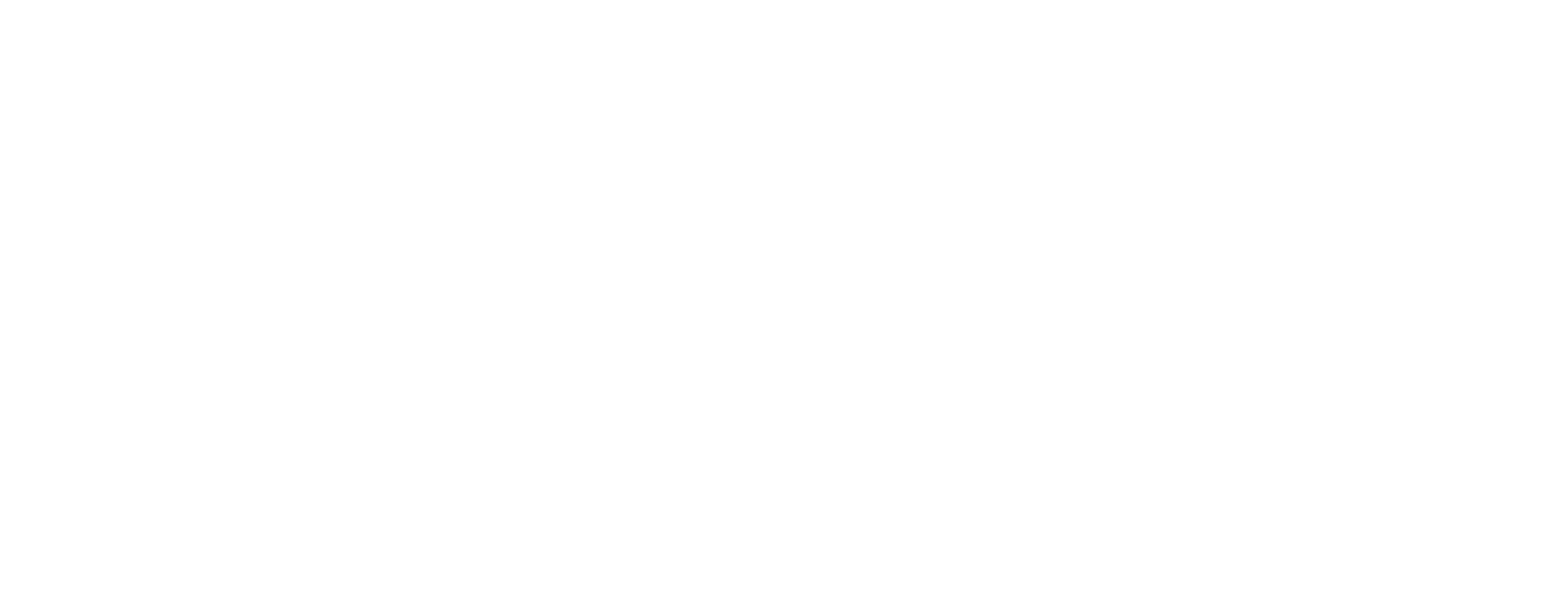 arkyn logo 03 white cropped