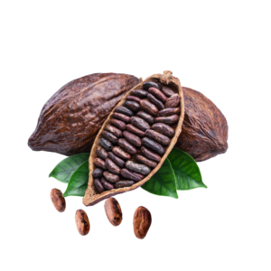 cocao