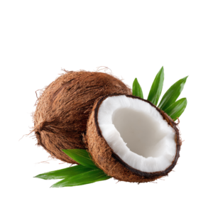 Cocunut