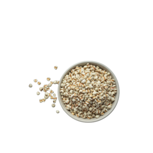 Millet
